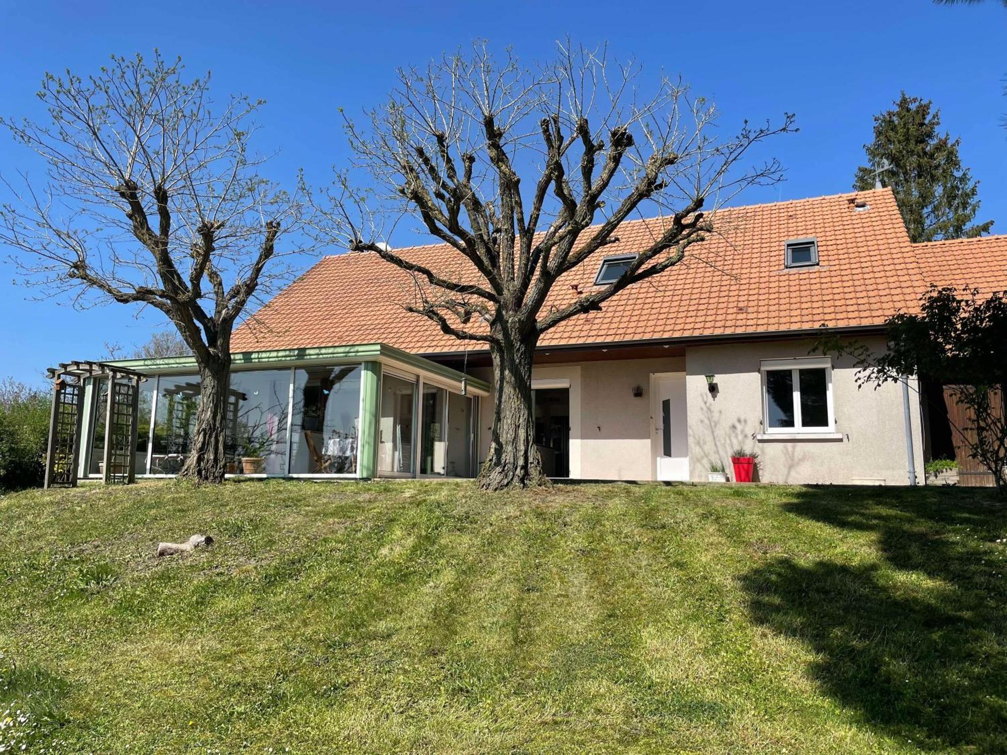 Des Roux Et Des Pious Suite De 35 A 60 M2 Et 3 Chambres Pour Groupe De 2 A 6 Personnes Civray-de-Touraine Екстер'єр фото